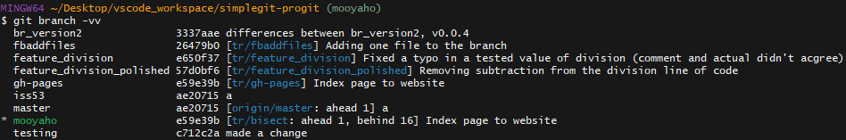 로컬 브랜치 상세 정보 조회